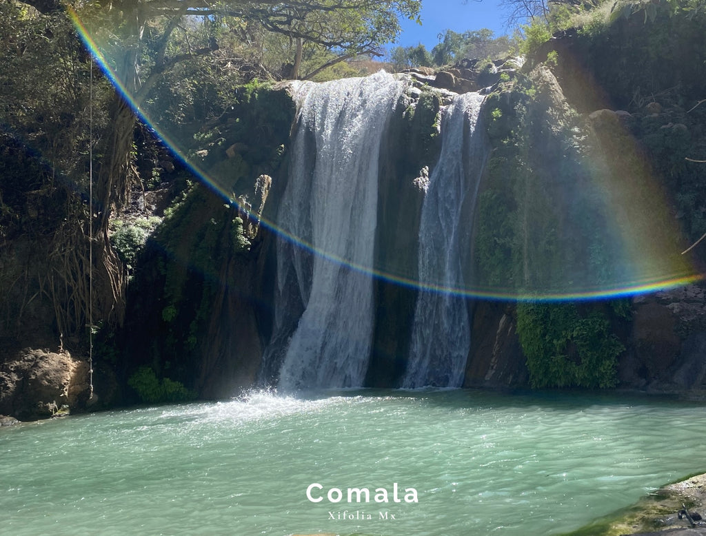 Postal Comala