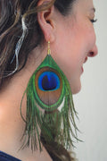 Arete de pavoreal