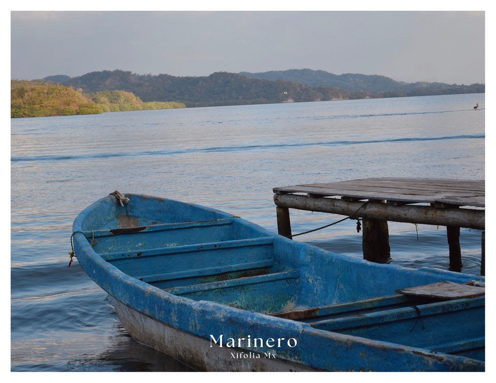 Collar Marinero