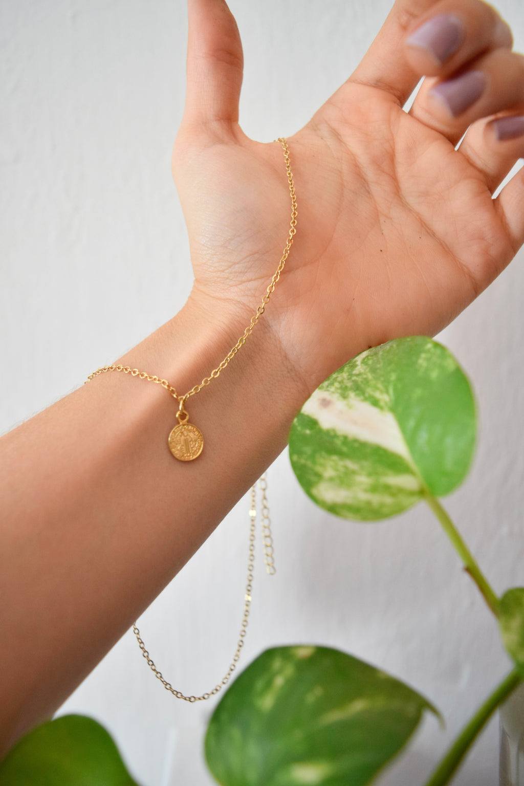 Collar San benito